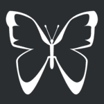 motif papillon
